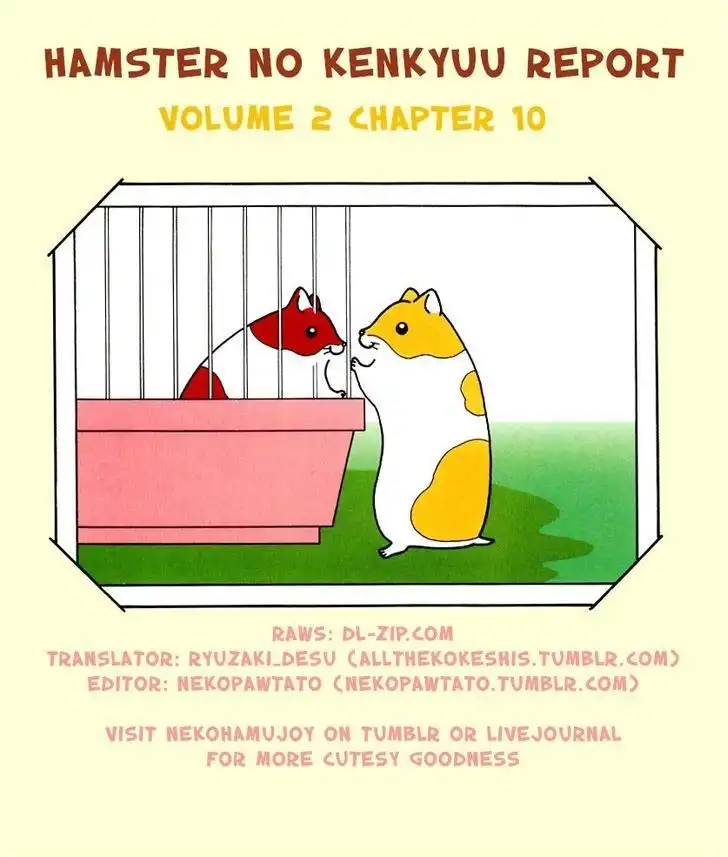 Hamster no Kenkyuu Report Chapter 10 4